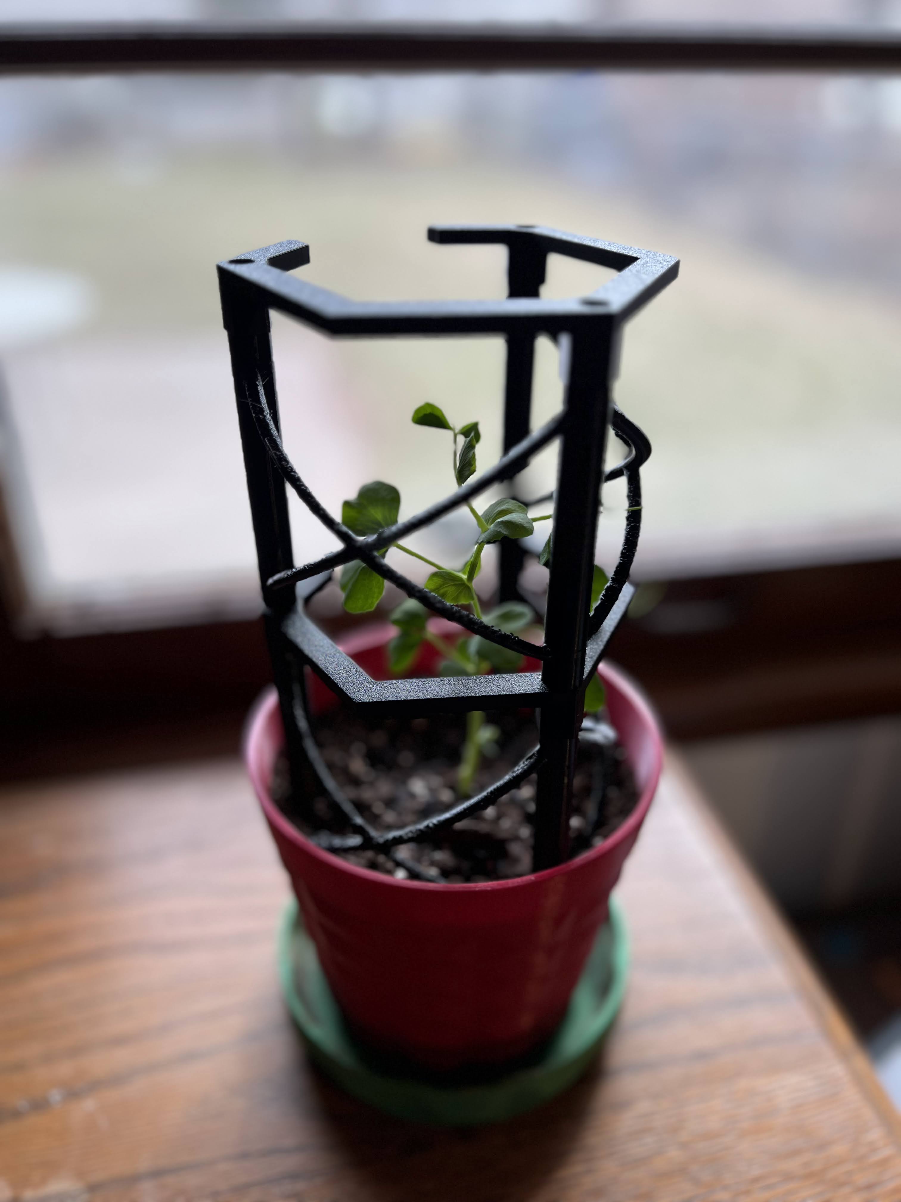 Open Cage Stackable Plant Support Stakes - With Added Climbing Supports 3D model thumbnail