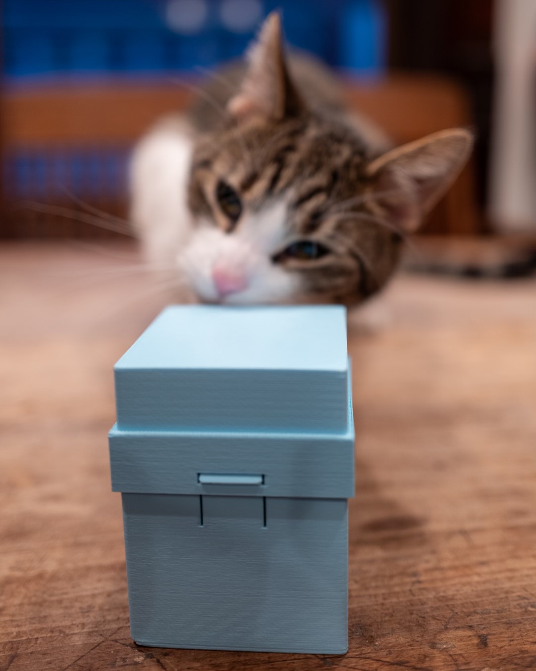 MTG Commander Deck Box by goosey999 | Download free STL model ...