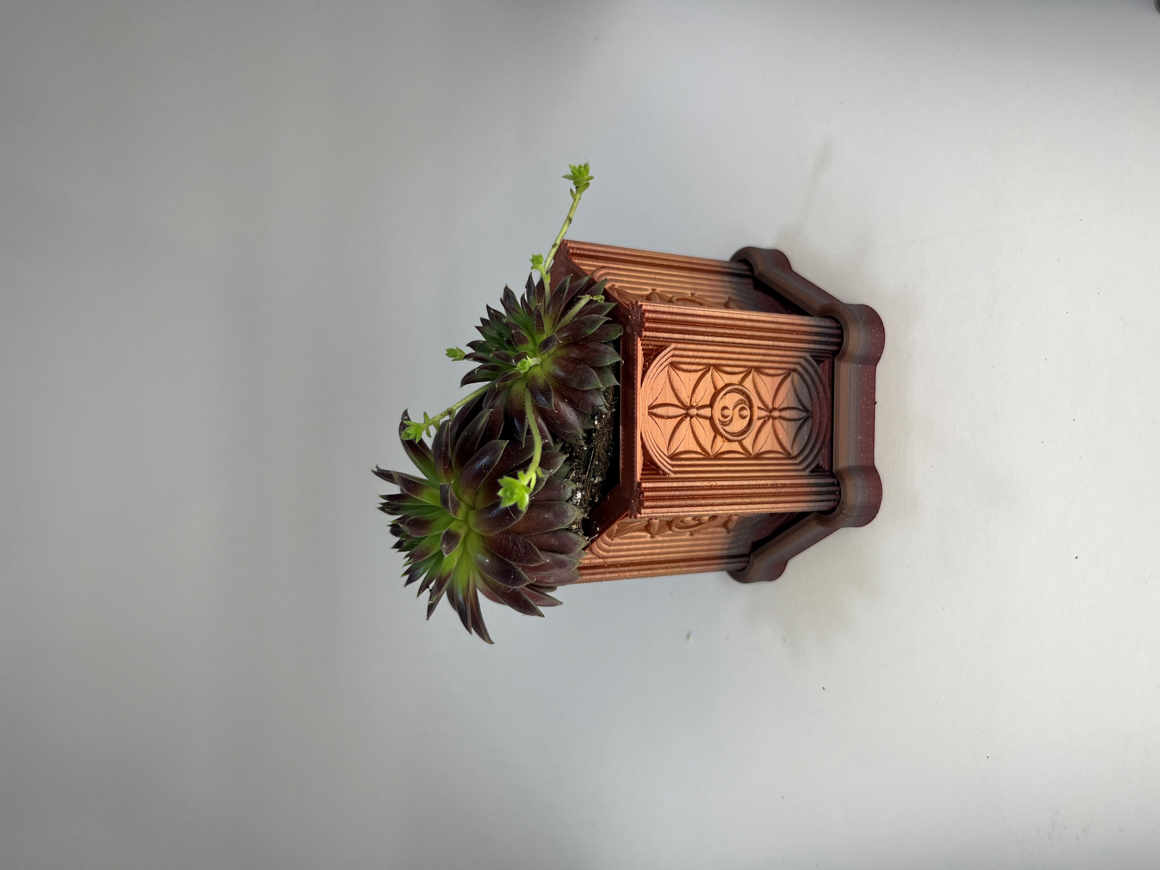 Flower of Yin-Yang Succulent Planter