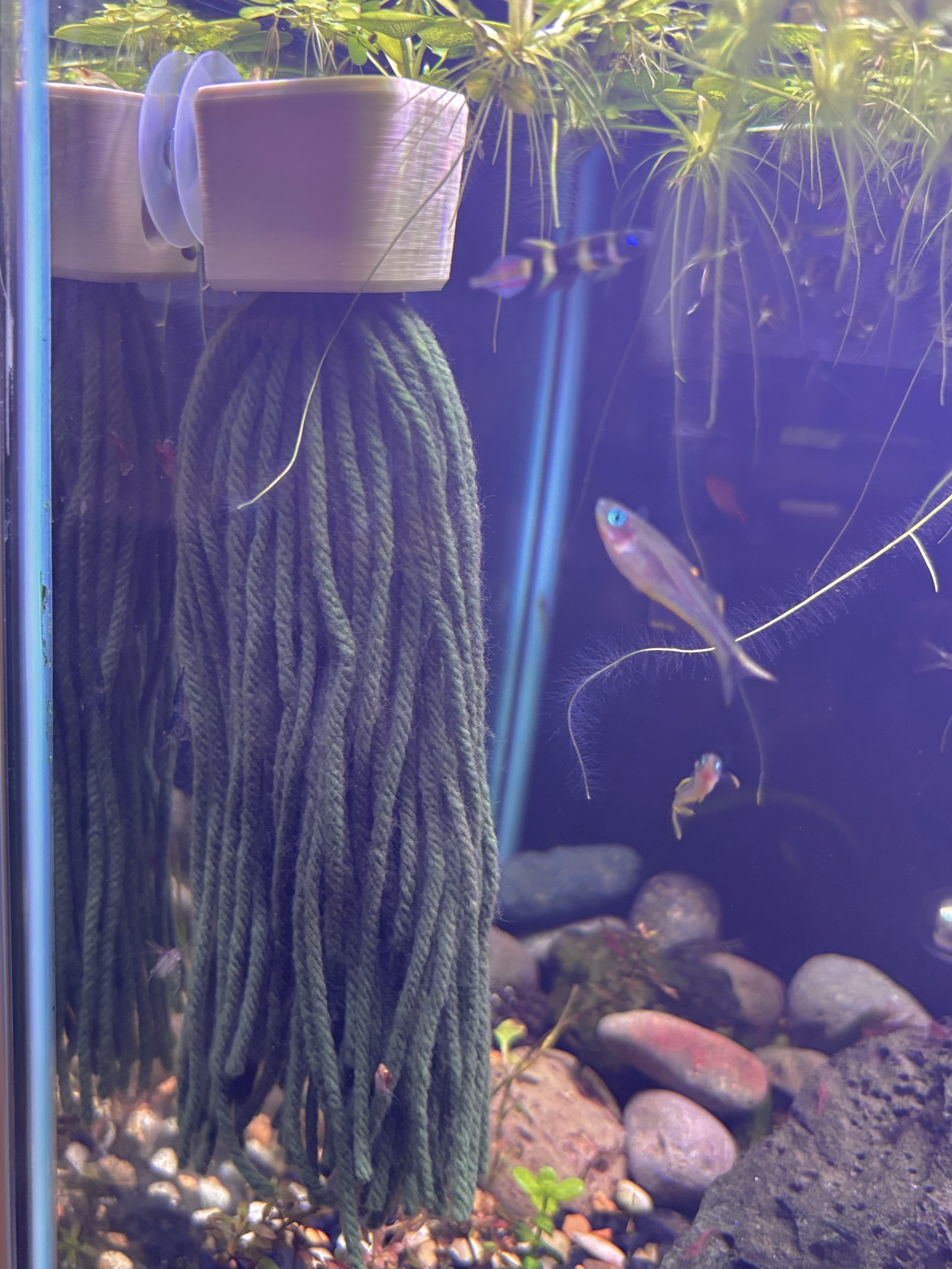 Spawning Mop Float for Aquarium Fish Spawning Egg Collection