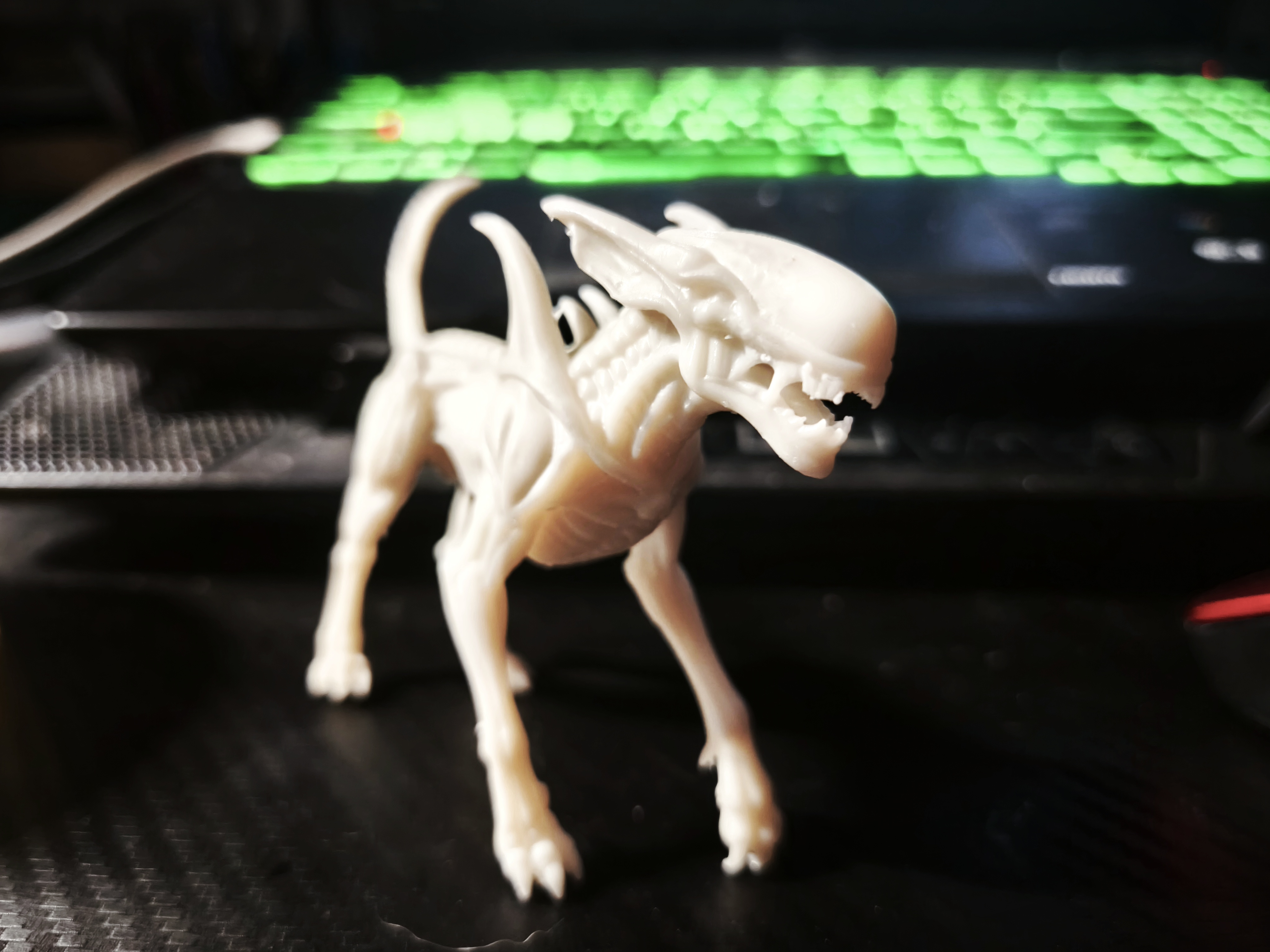Xenomorph dog
