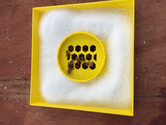 Flow Hive bee sugar feeder