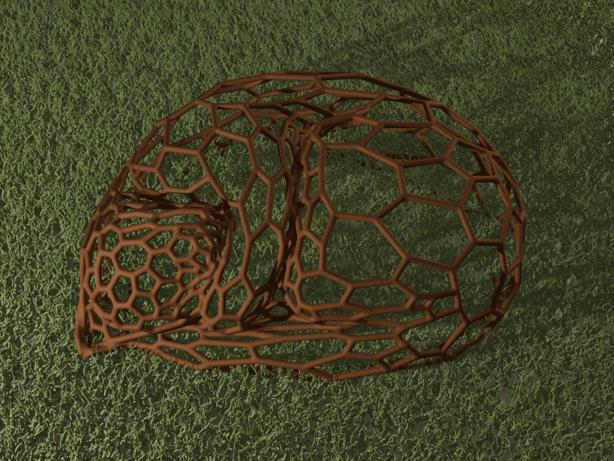 Sleeping Cat Voronoi