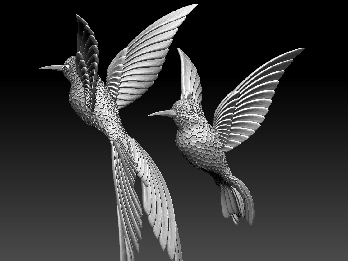 hummingbird — miniatura 5