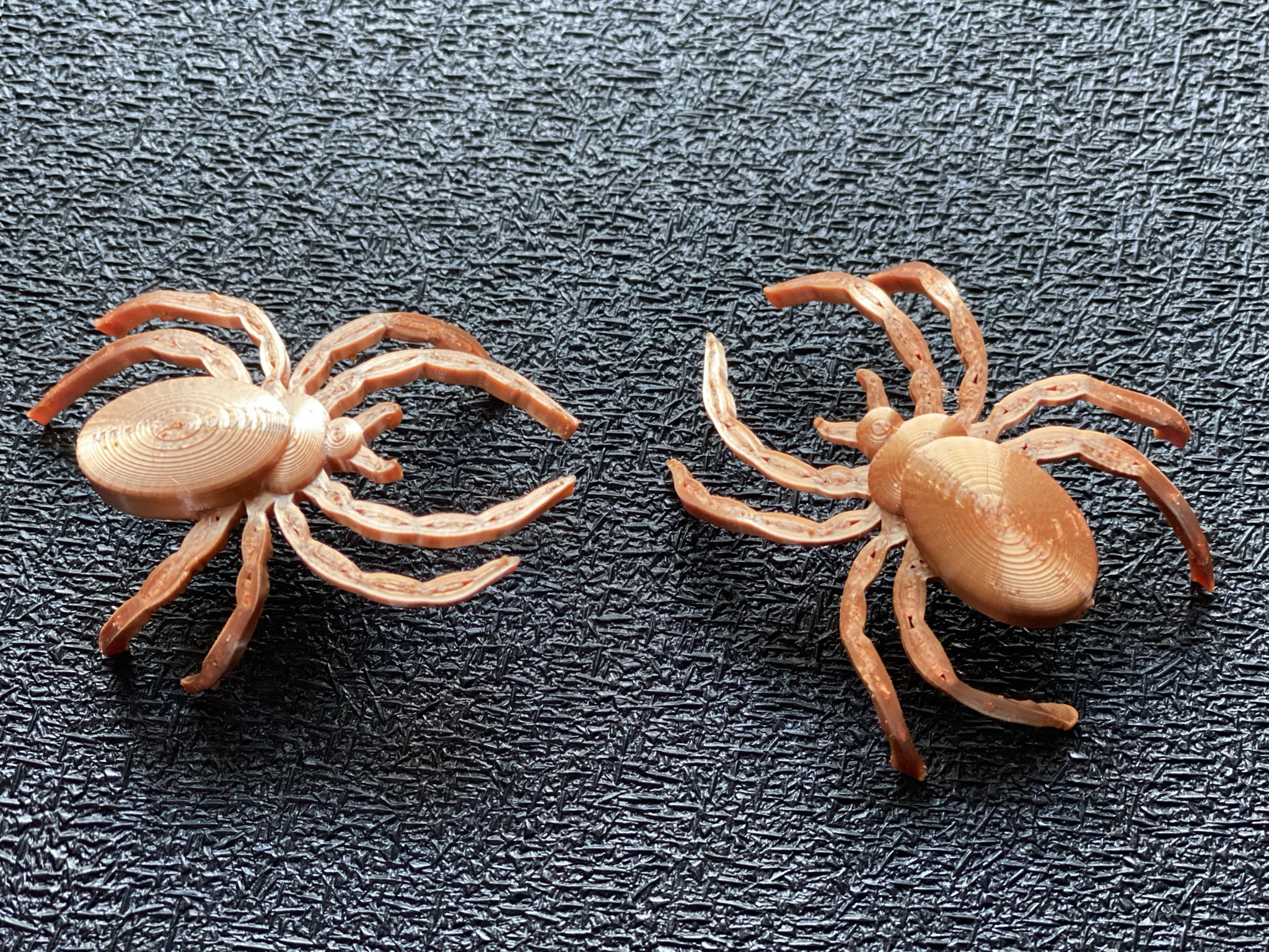 pavouk, spider