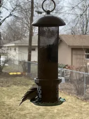 Bird Feeder Adapter
