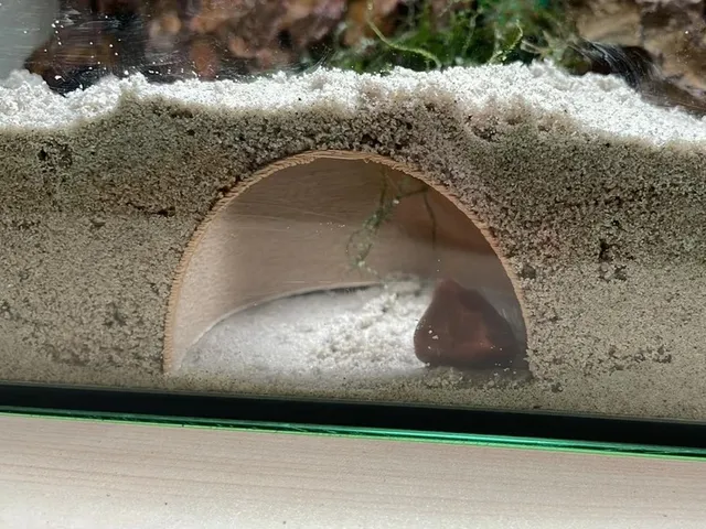 Fish tank underground hiding cave with floor