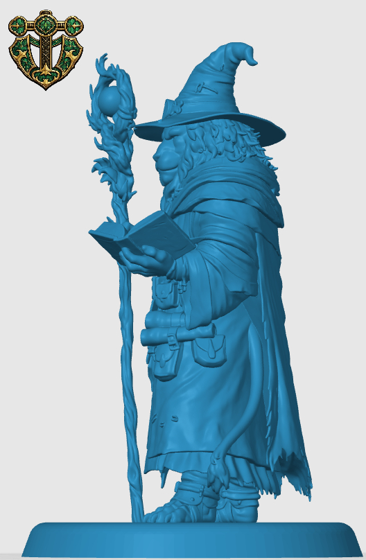 Leonin Wizard — thumbnail 4