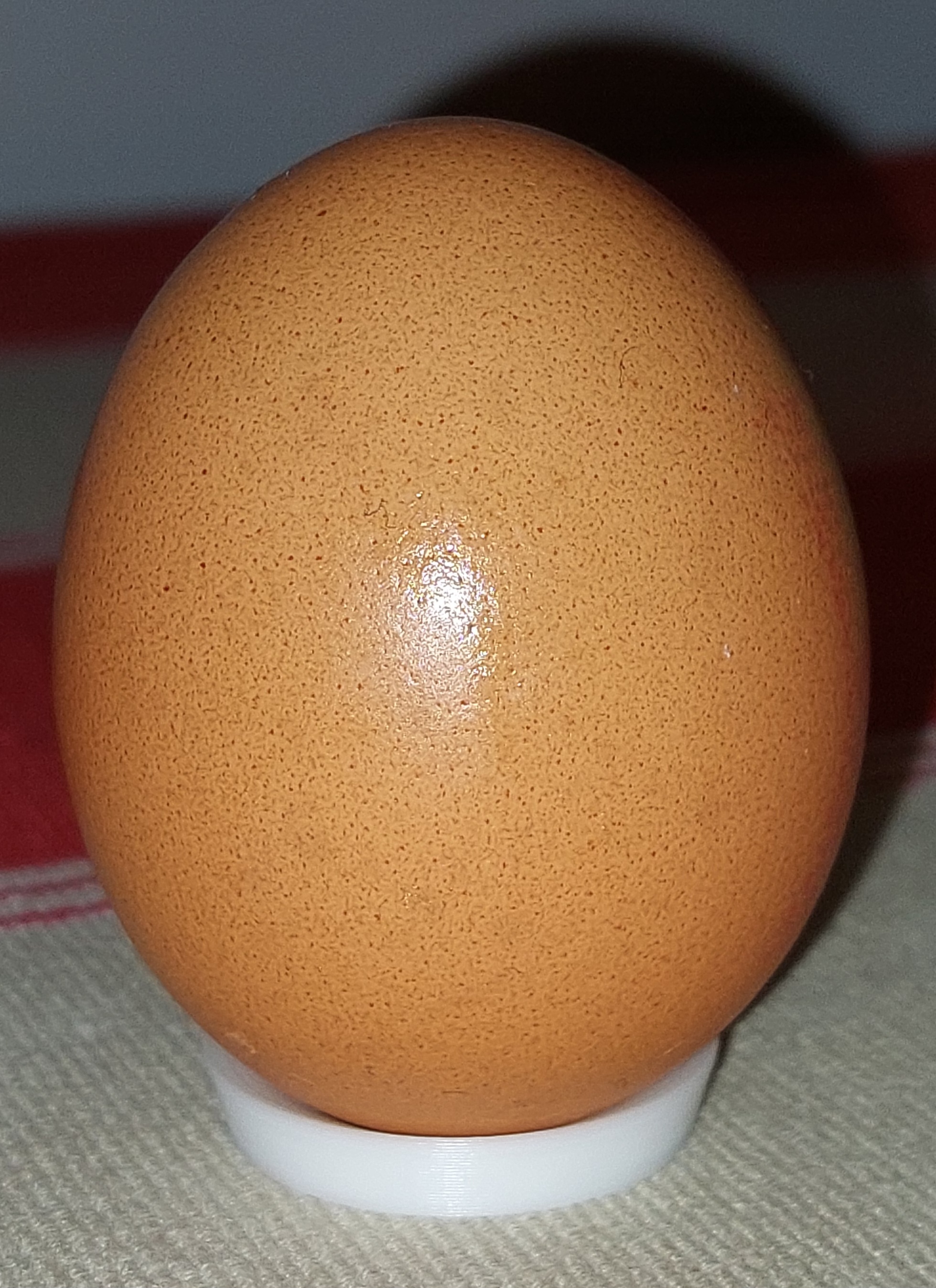 Minimalistic Small Egg Stand for Easter Egg Decoration and Painting