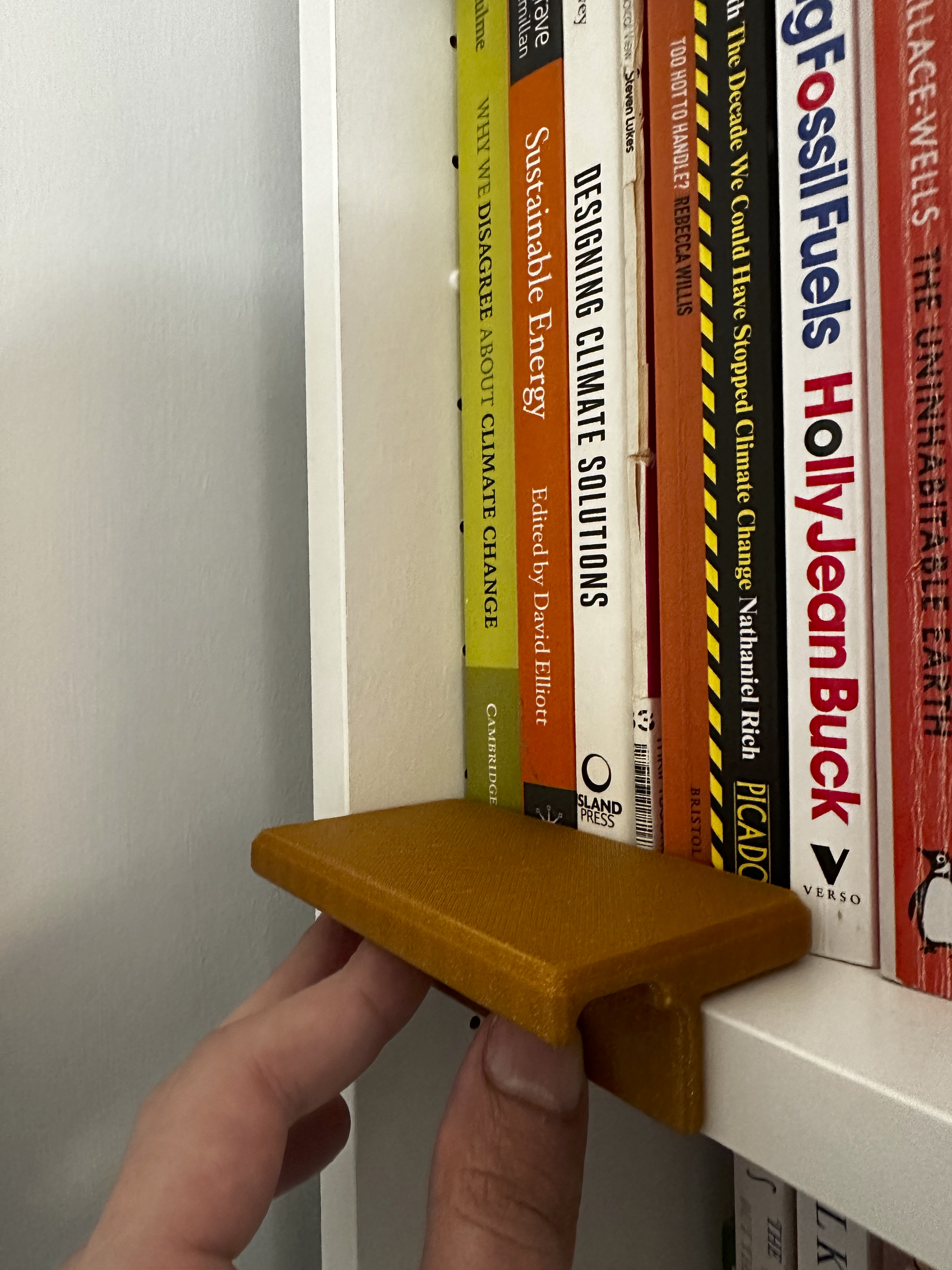 Book Shelf Tidy / Level