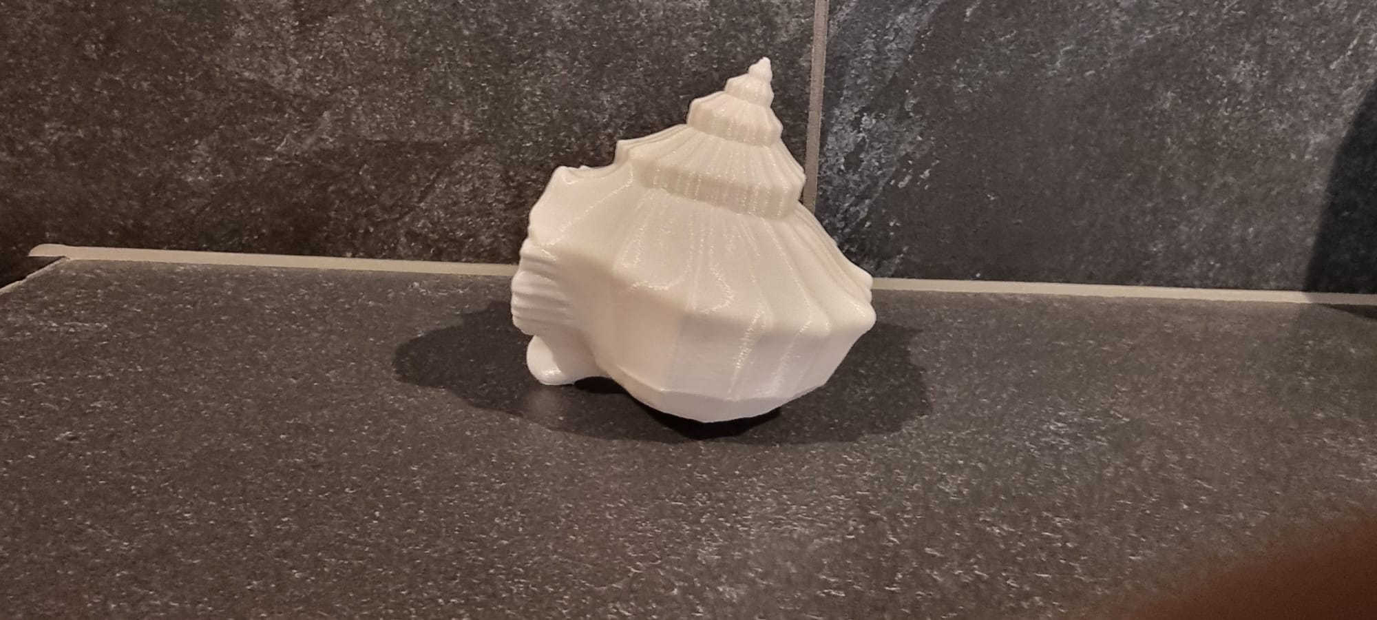 Miniatura 3 do modelo 3D Shell Decor