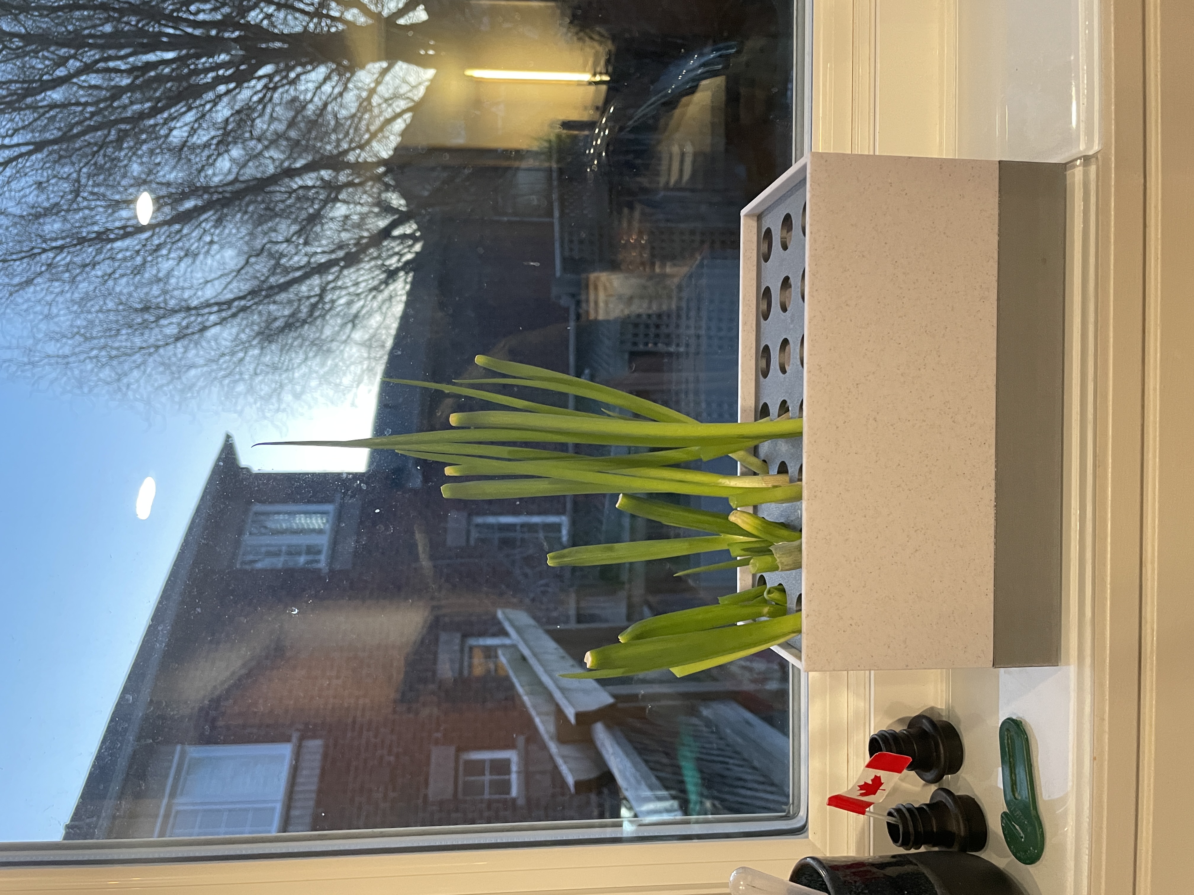 Modular planter