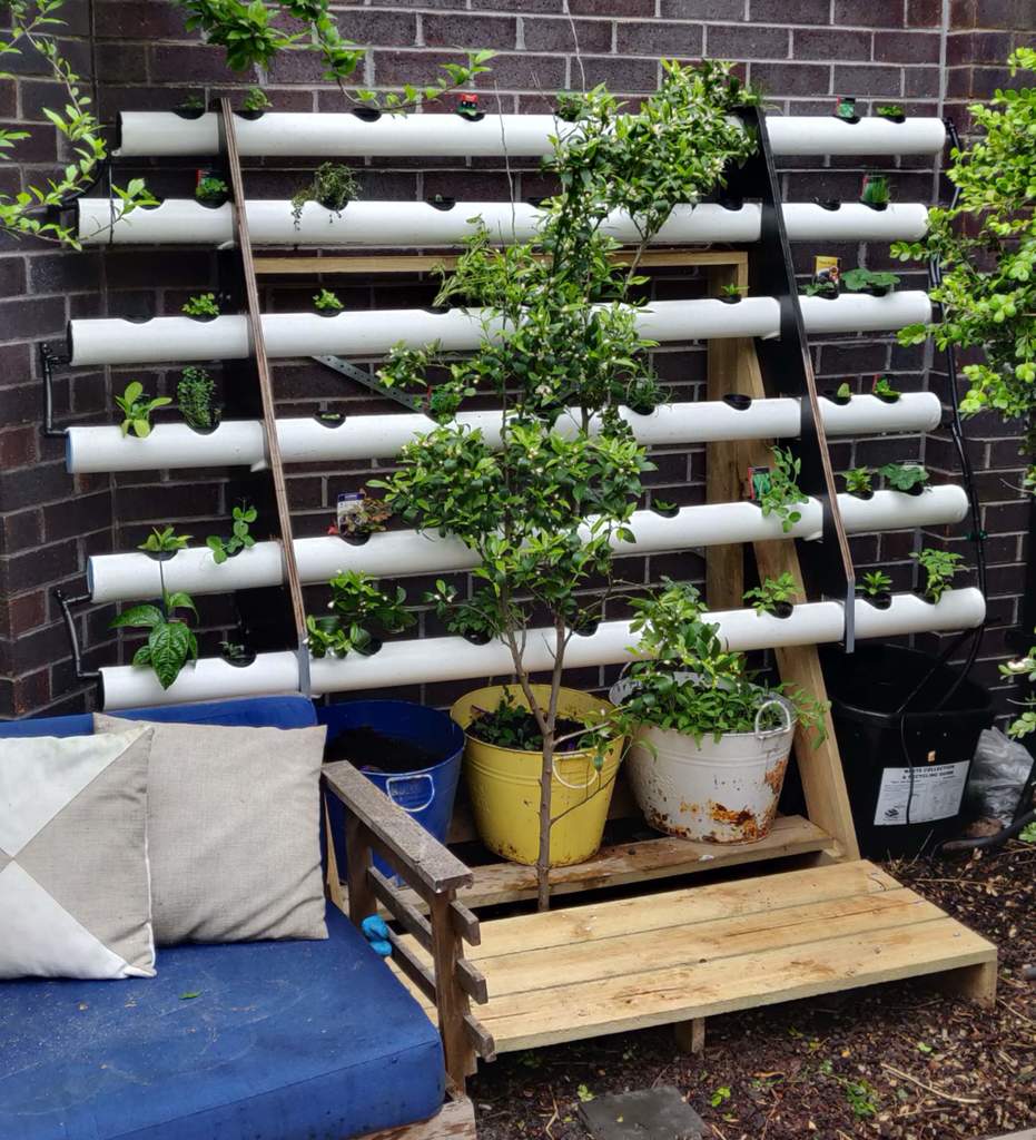 Backyard hydroponics — thumbnail 2