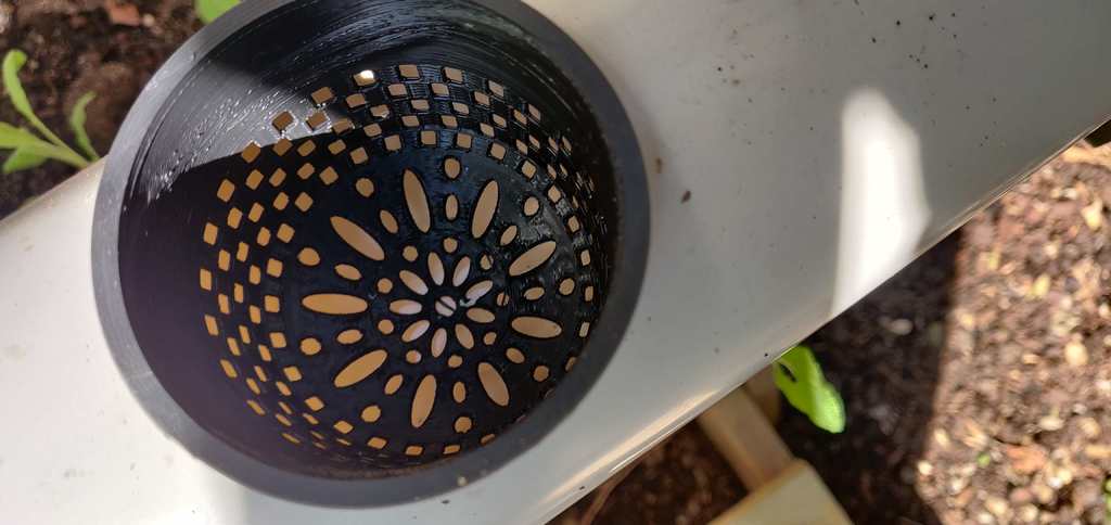 Backyard hydroponics — thumbnail 10