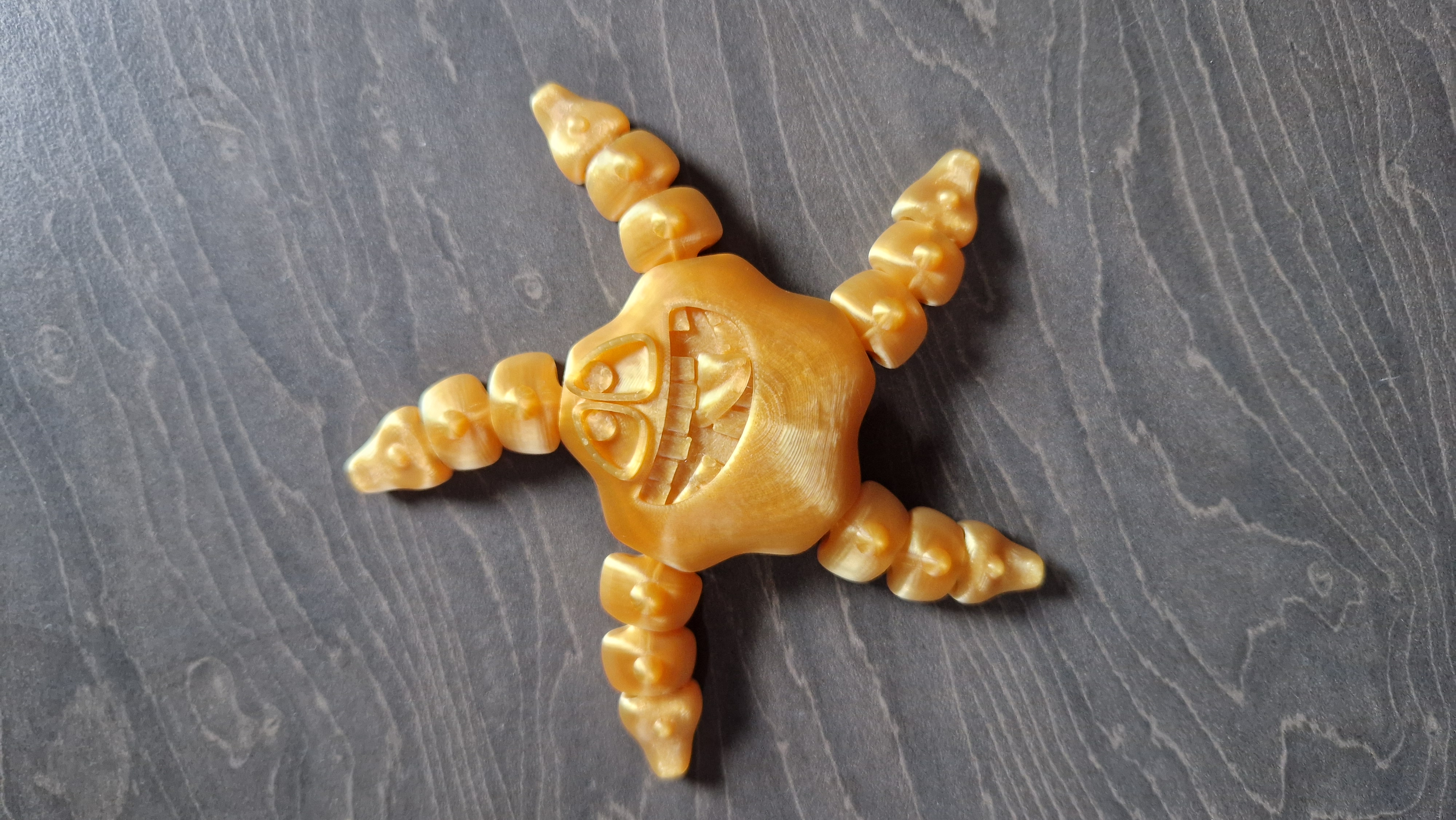 Cute articulated starfish