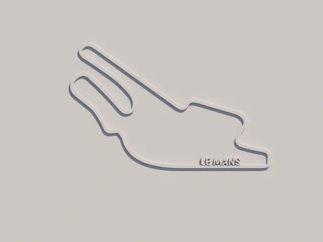 MotoGp 2024 – Le Mans – Wall art