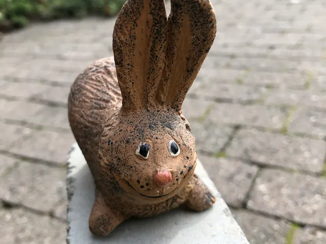 Langohrhase