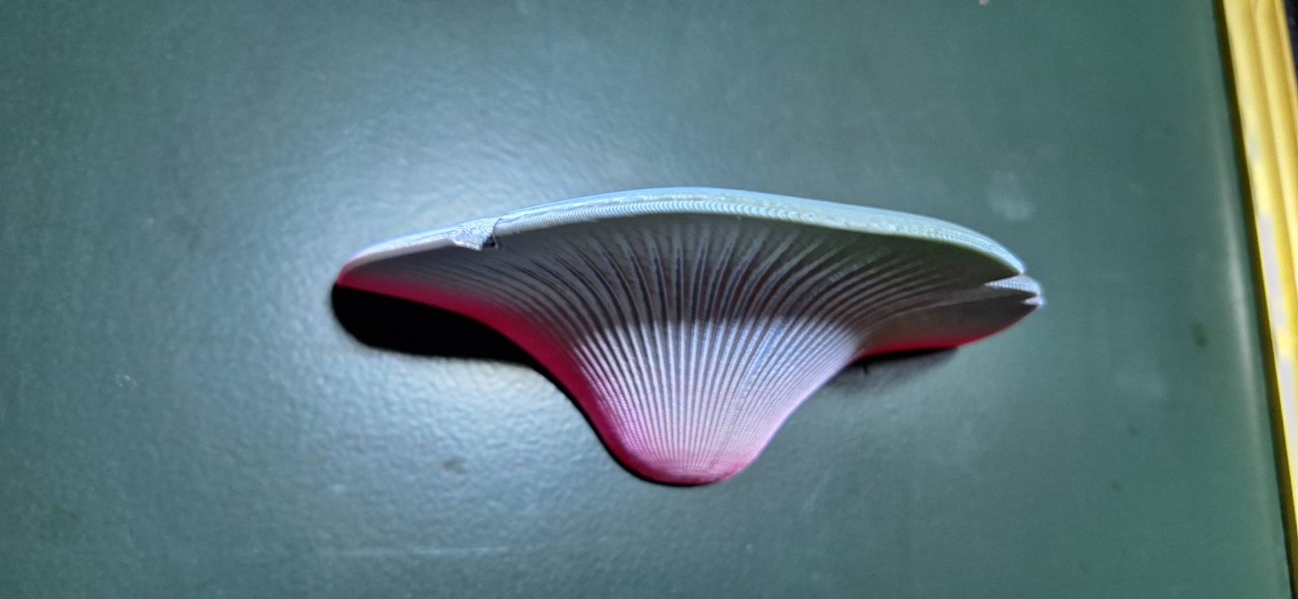 Mushroom appearance refrigerator magnet