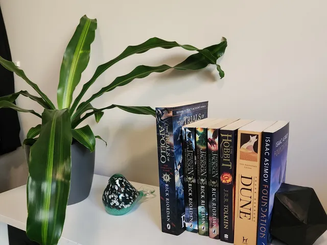 Icosahedron Bookend or Plant Pot