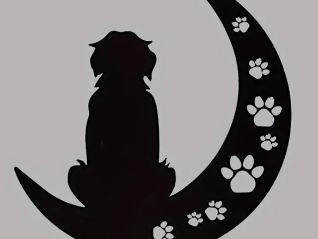 Black Dog on moon Wall Art