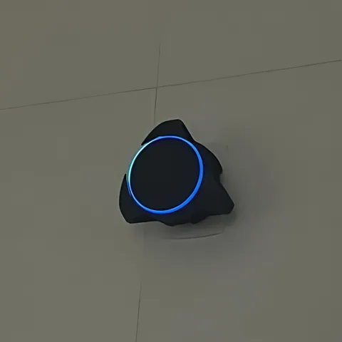 • Echo Dot Support •
