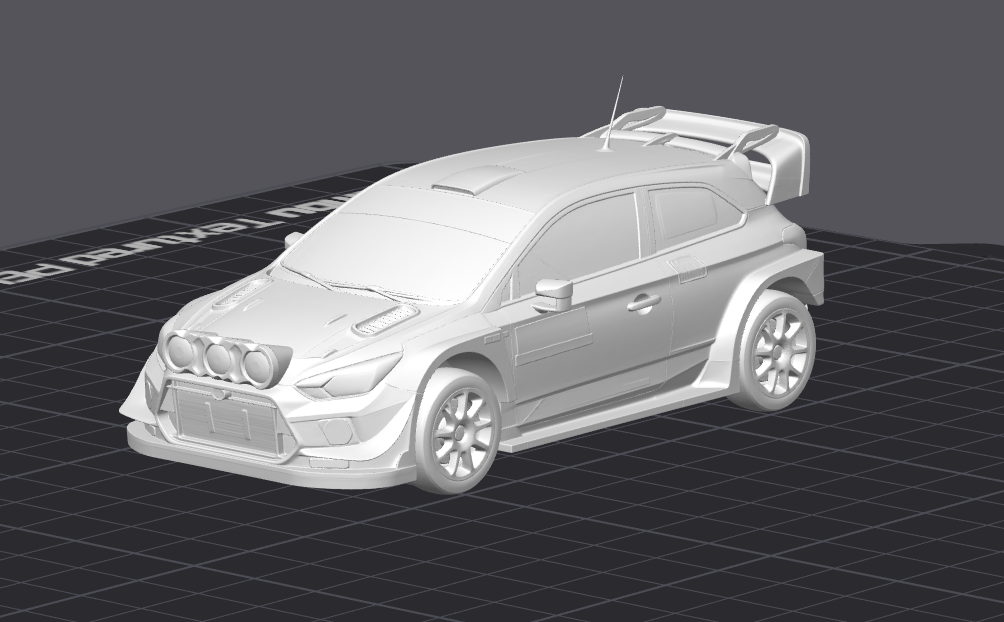 Rally závodní auto 3