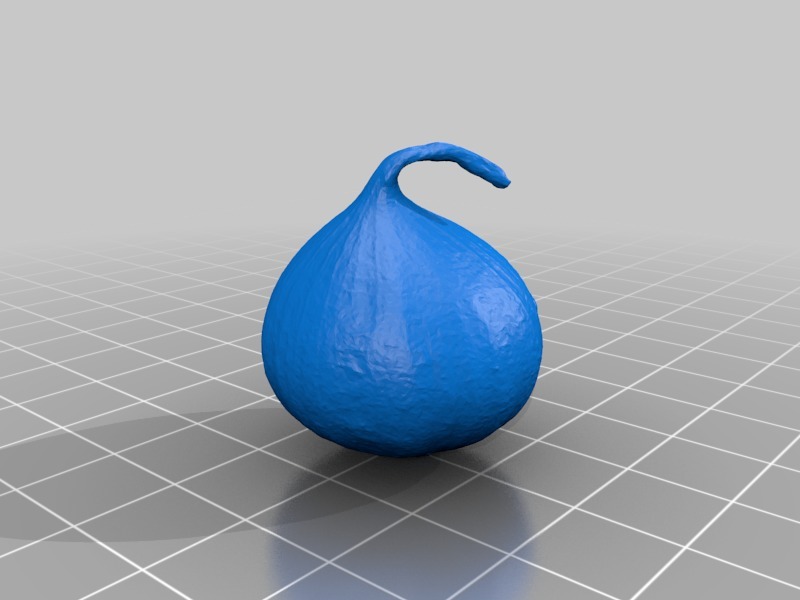 Garlic - 3D Scan