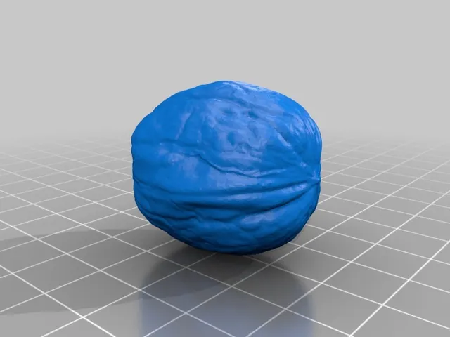 Walnut - 3D Scan