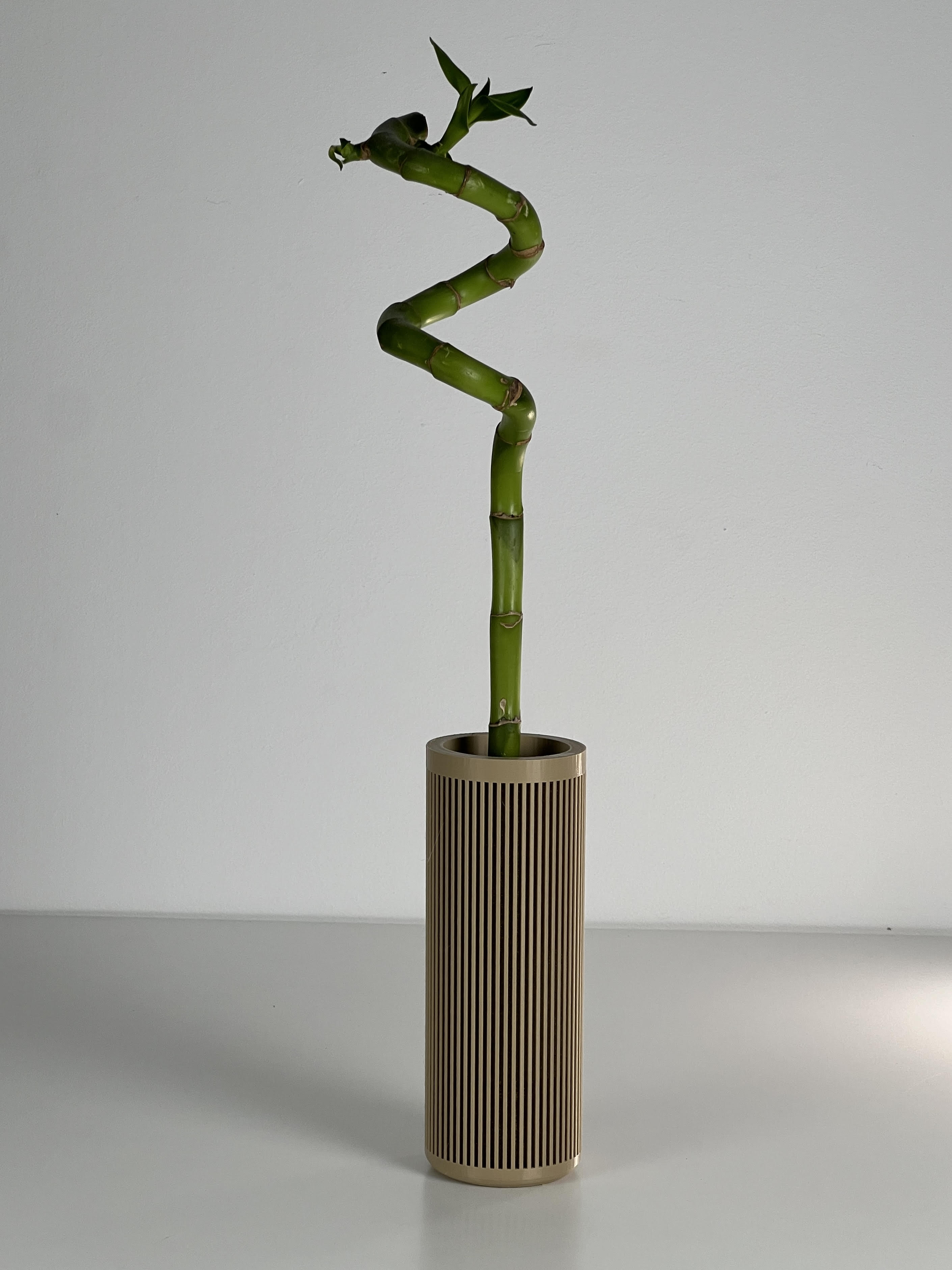 FREE MINIMALIST BAMBU PLANTER