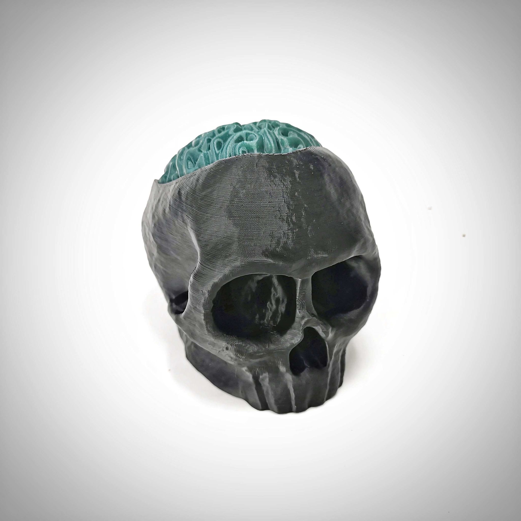 Skull with Brain - Candy Hiding Place