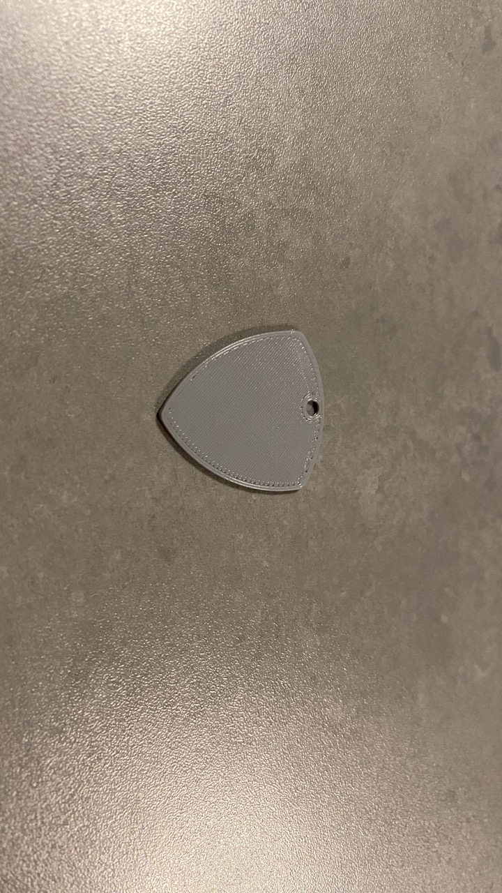 Travel Guitar Plectrum (pick)