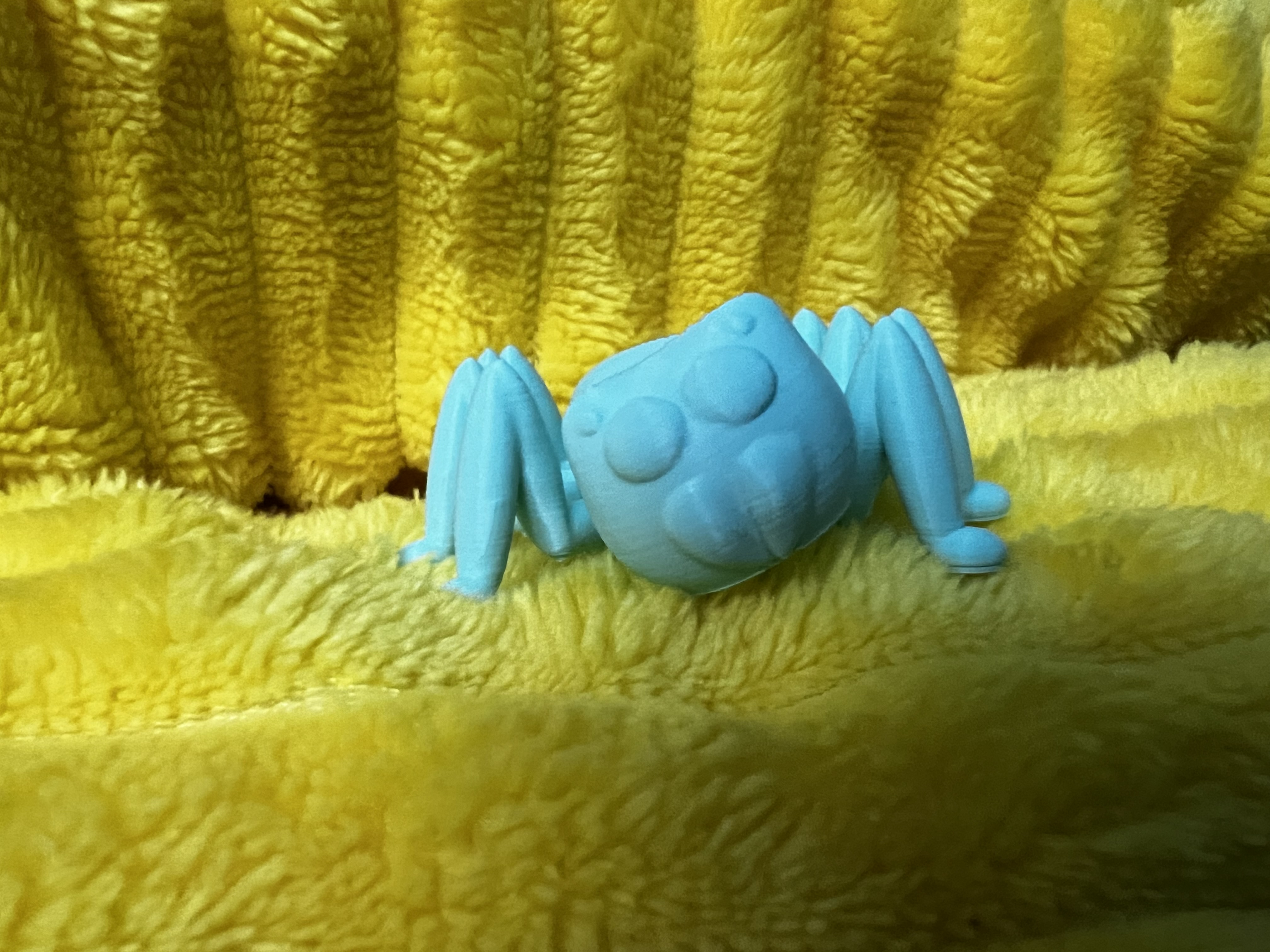 Friendly spider