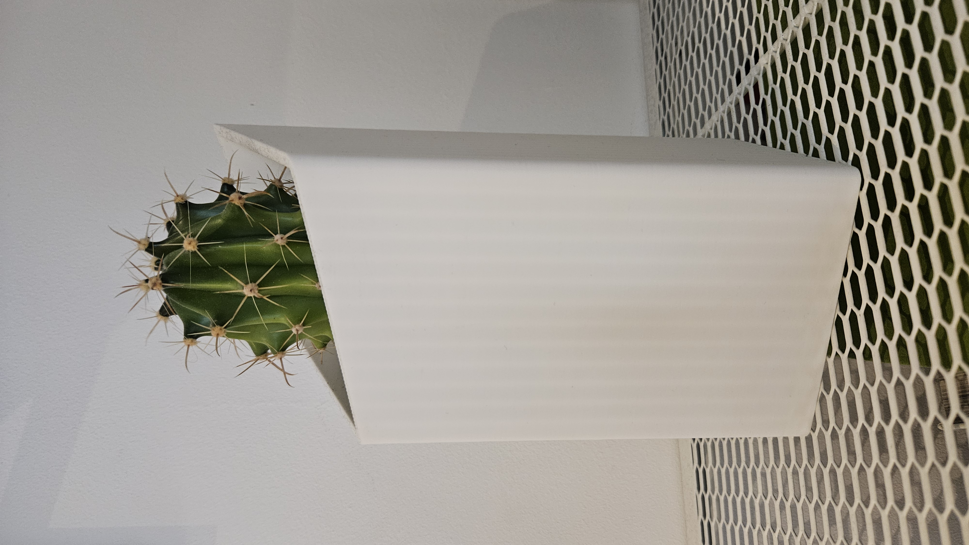 Miniatura 2 do modelo 3D Cactus vase