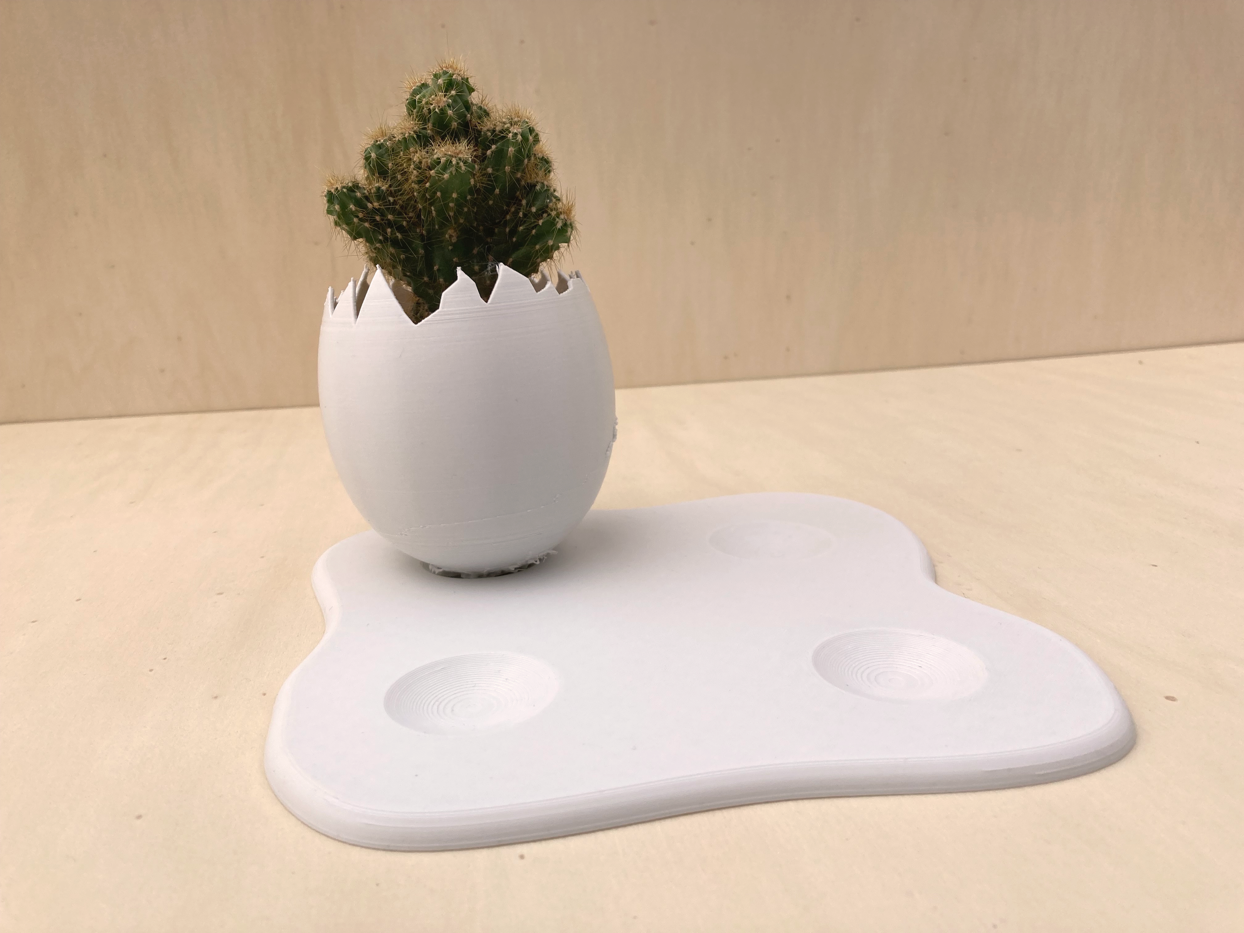 Miniatura 5 do modelo 3D Egg Shell planter