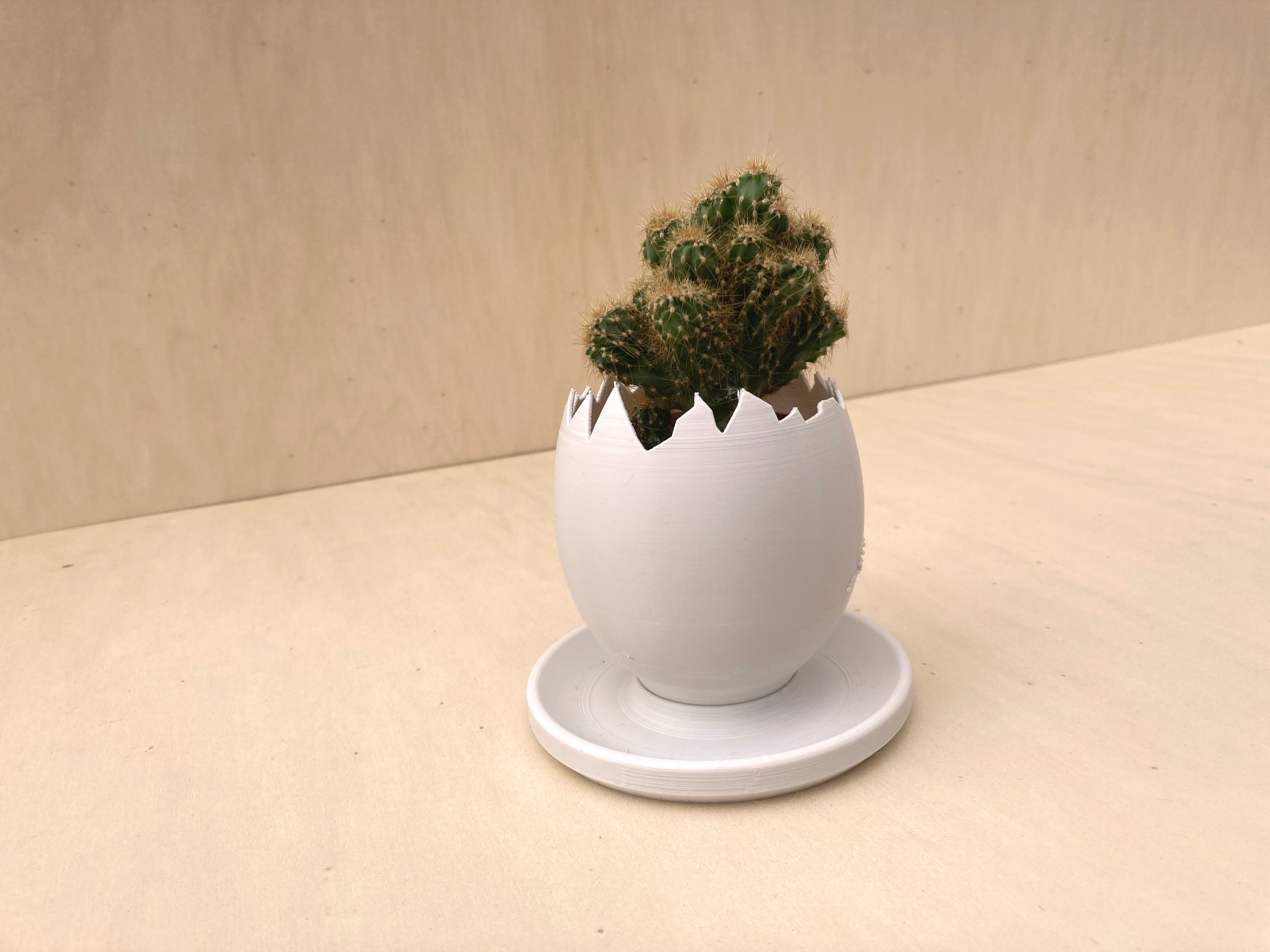 Egg Shell planter