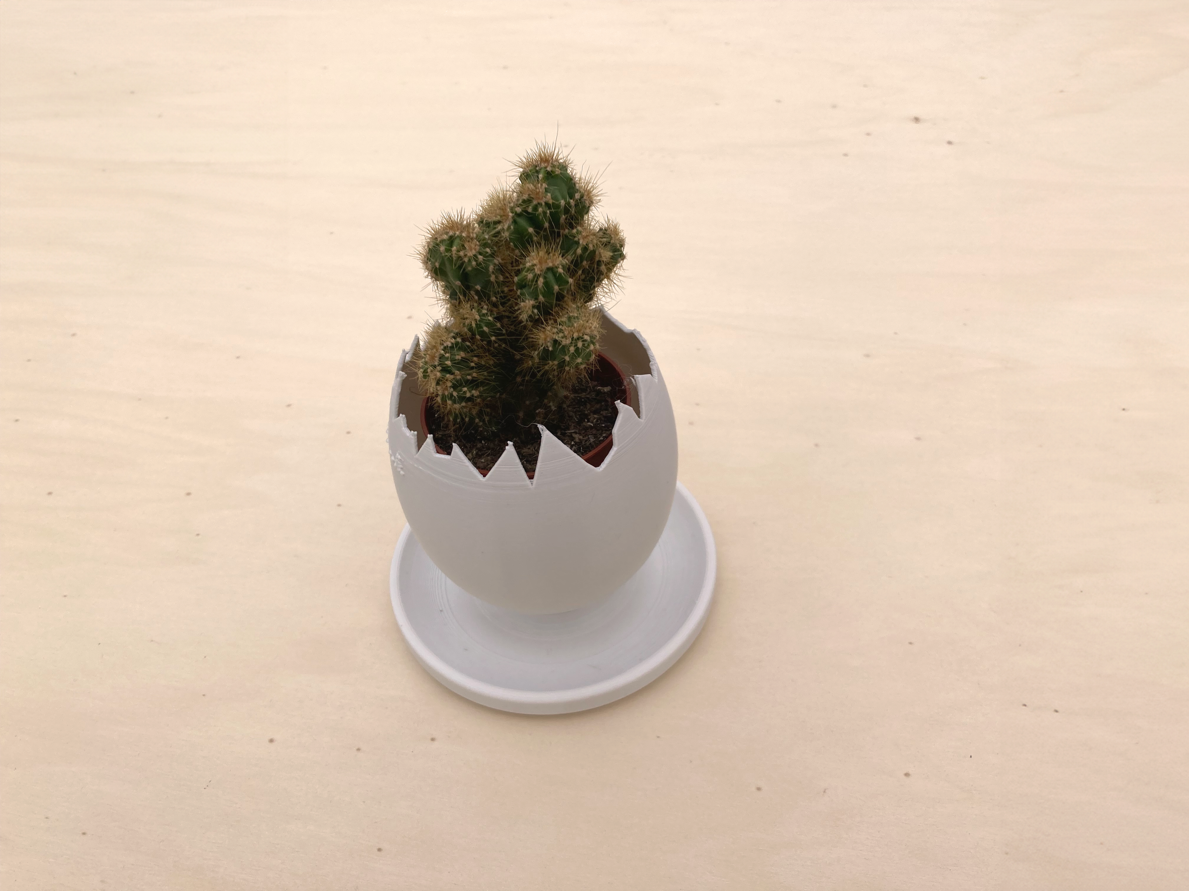 Miniatura 2 do modelo 3D Egg Shell planter