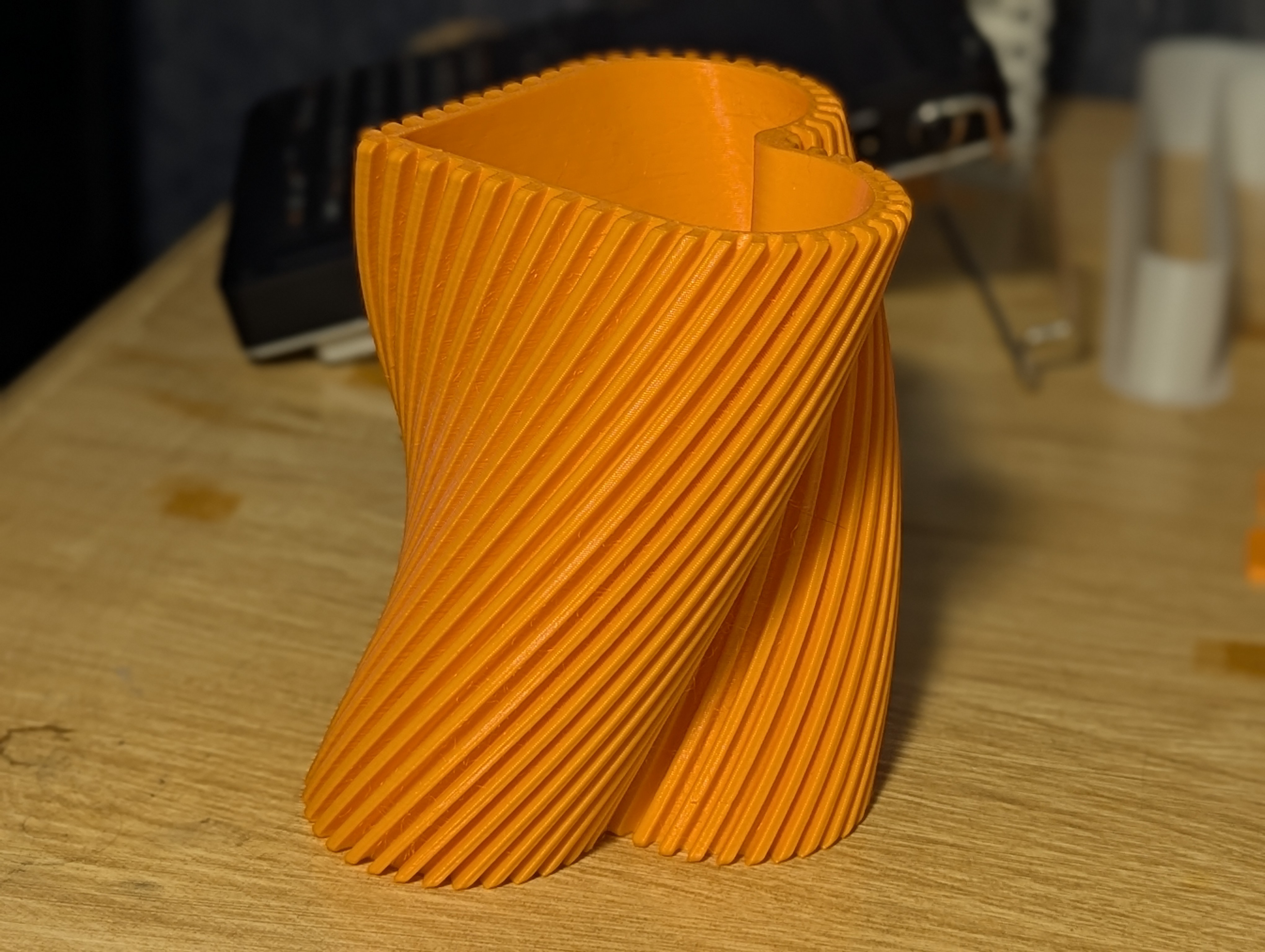 Helical Heart Flower Vase