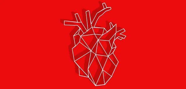 Geometric Human Heart