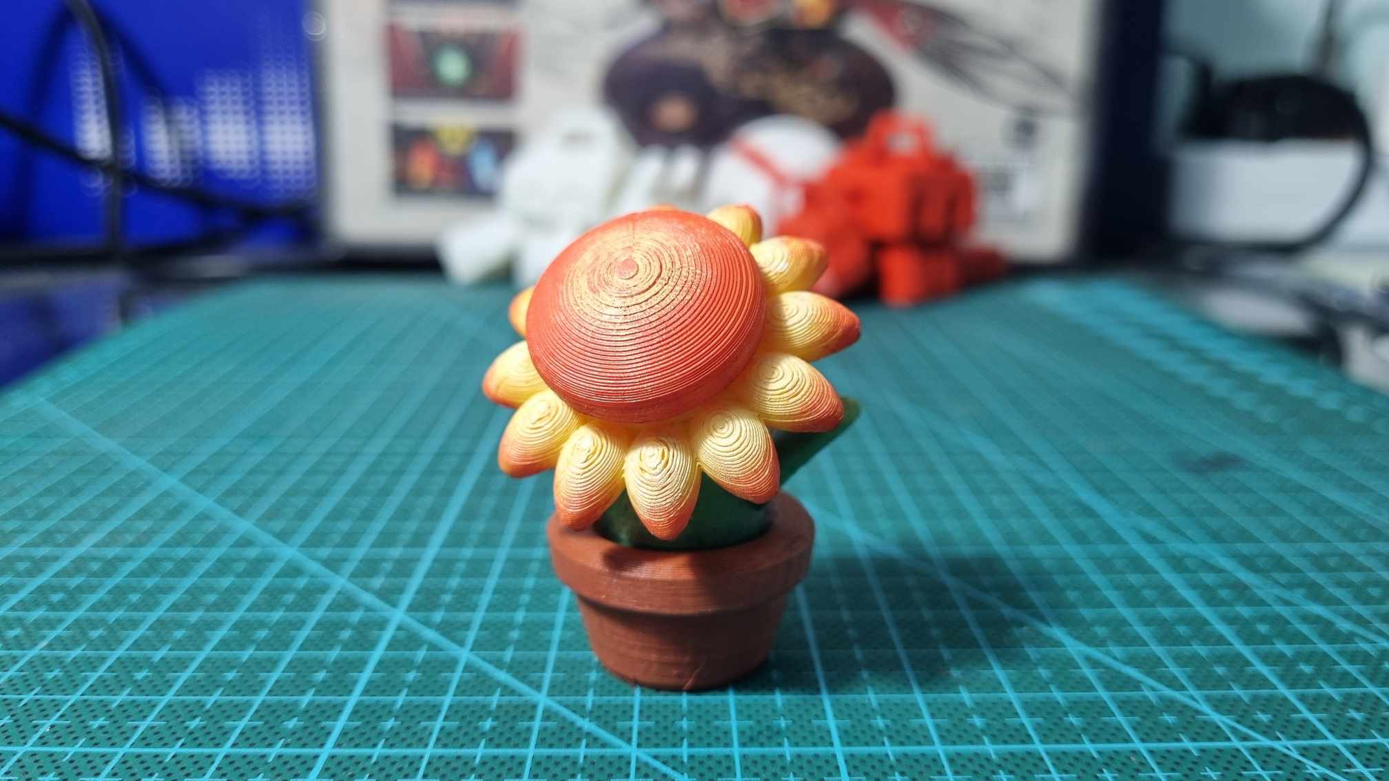 MINI SUNFLOWER POT KIT