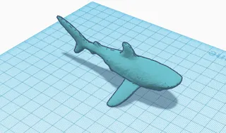 Shark