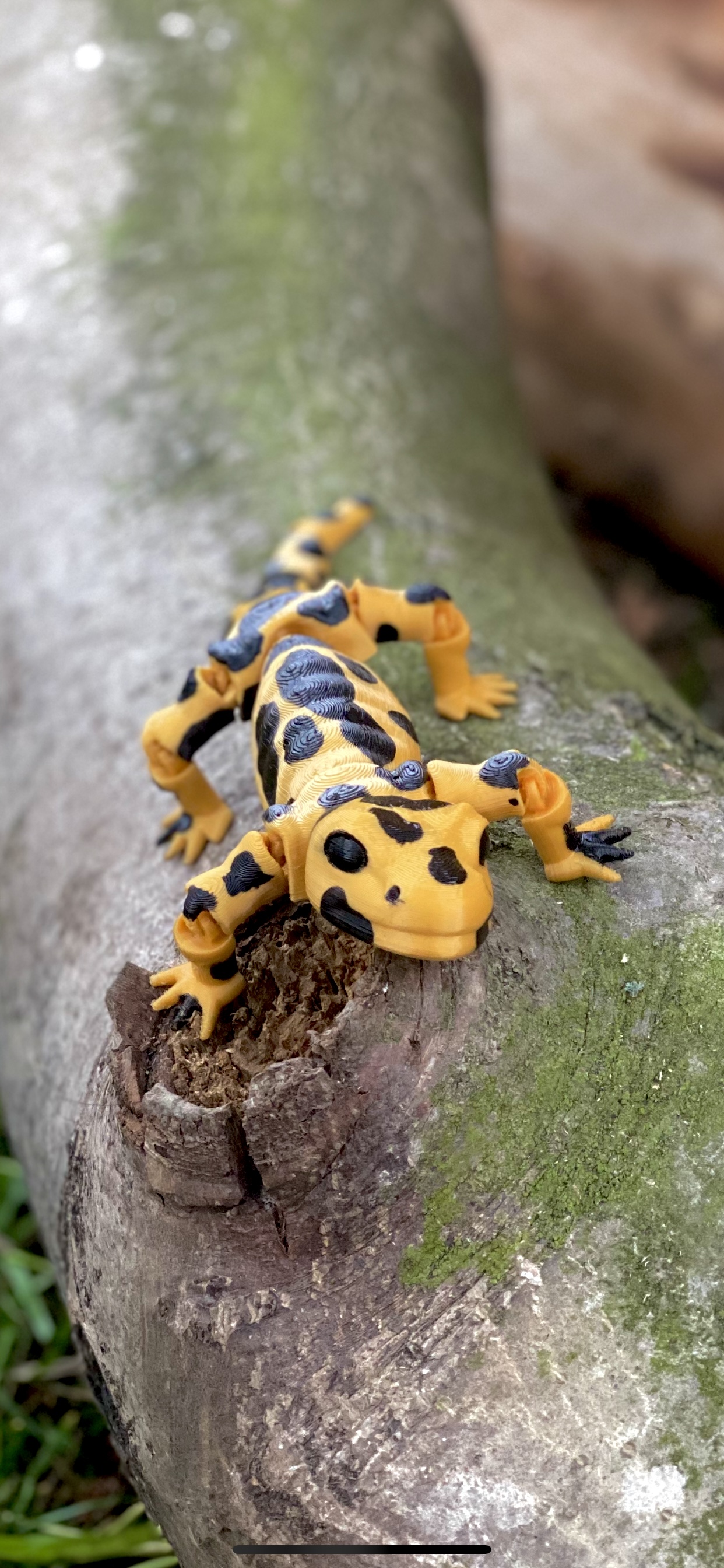 Flexi Salamander — miniatura 2
