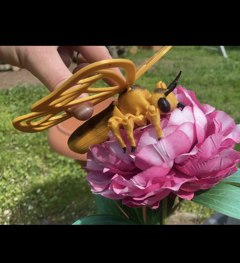 Flexi butterfly