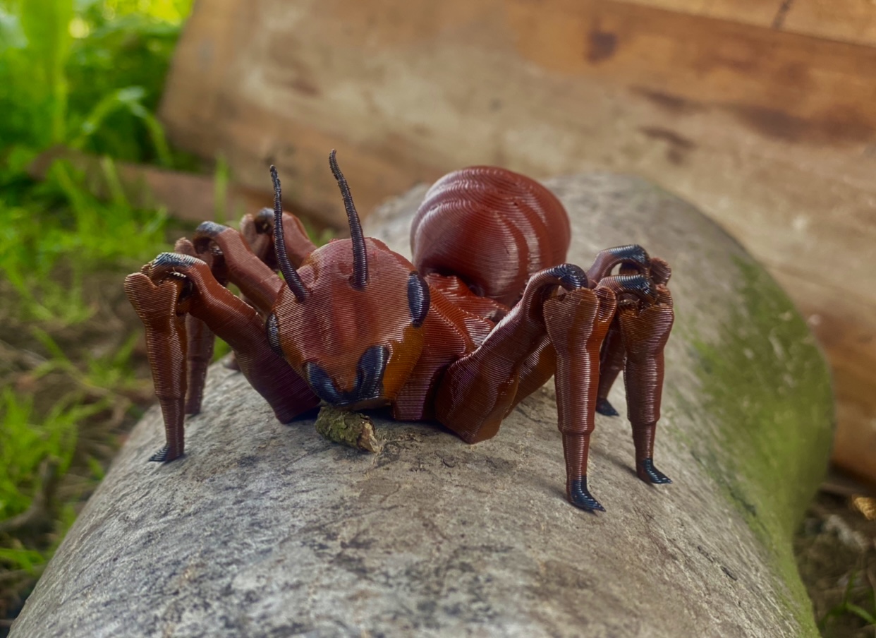 Miniatura 2 do modelo 3D Flexi Ant