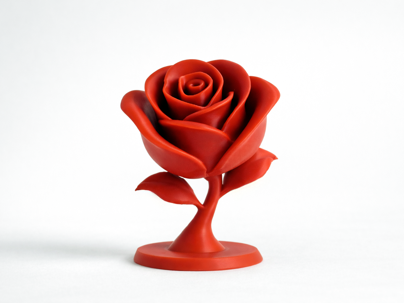 Rose - Valentine's Flower