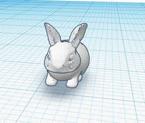 Bunny