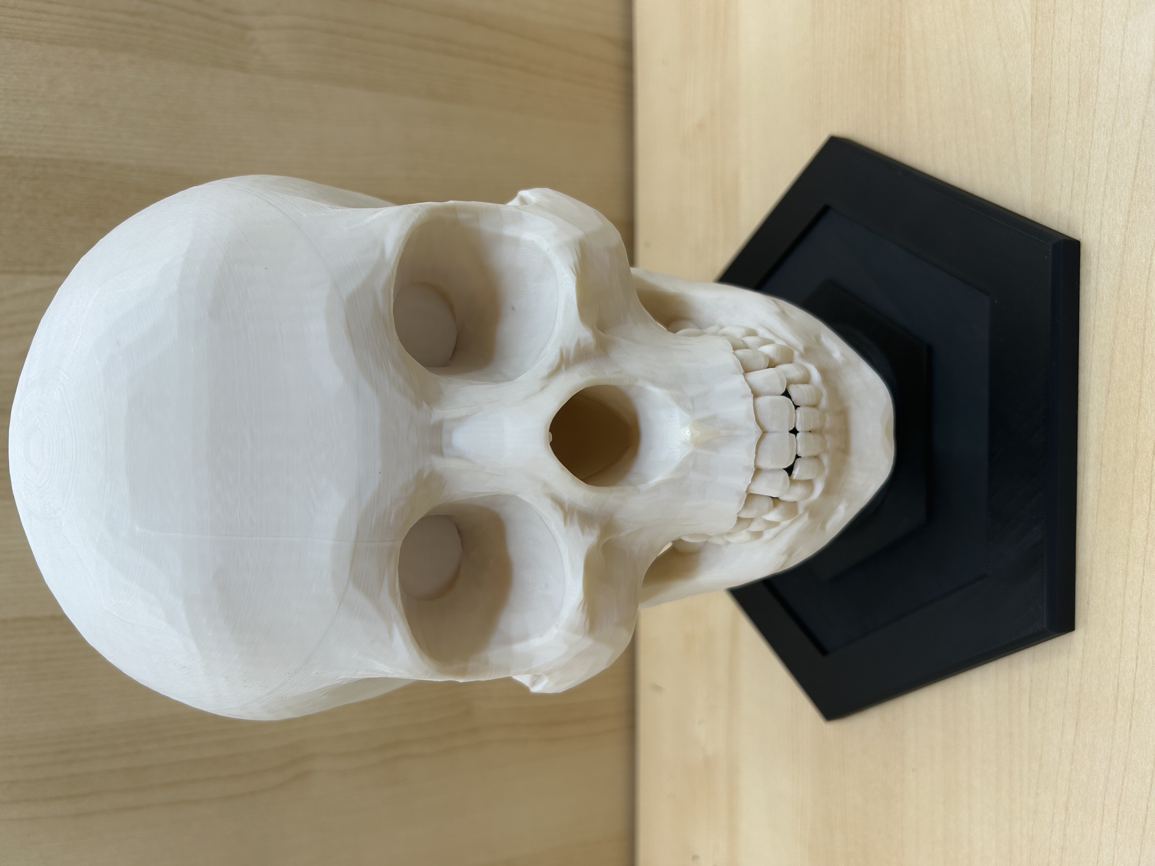 Skull Helmet Stand (Larger Base)
