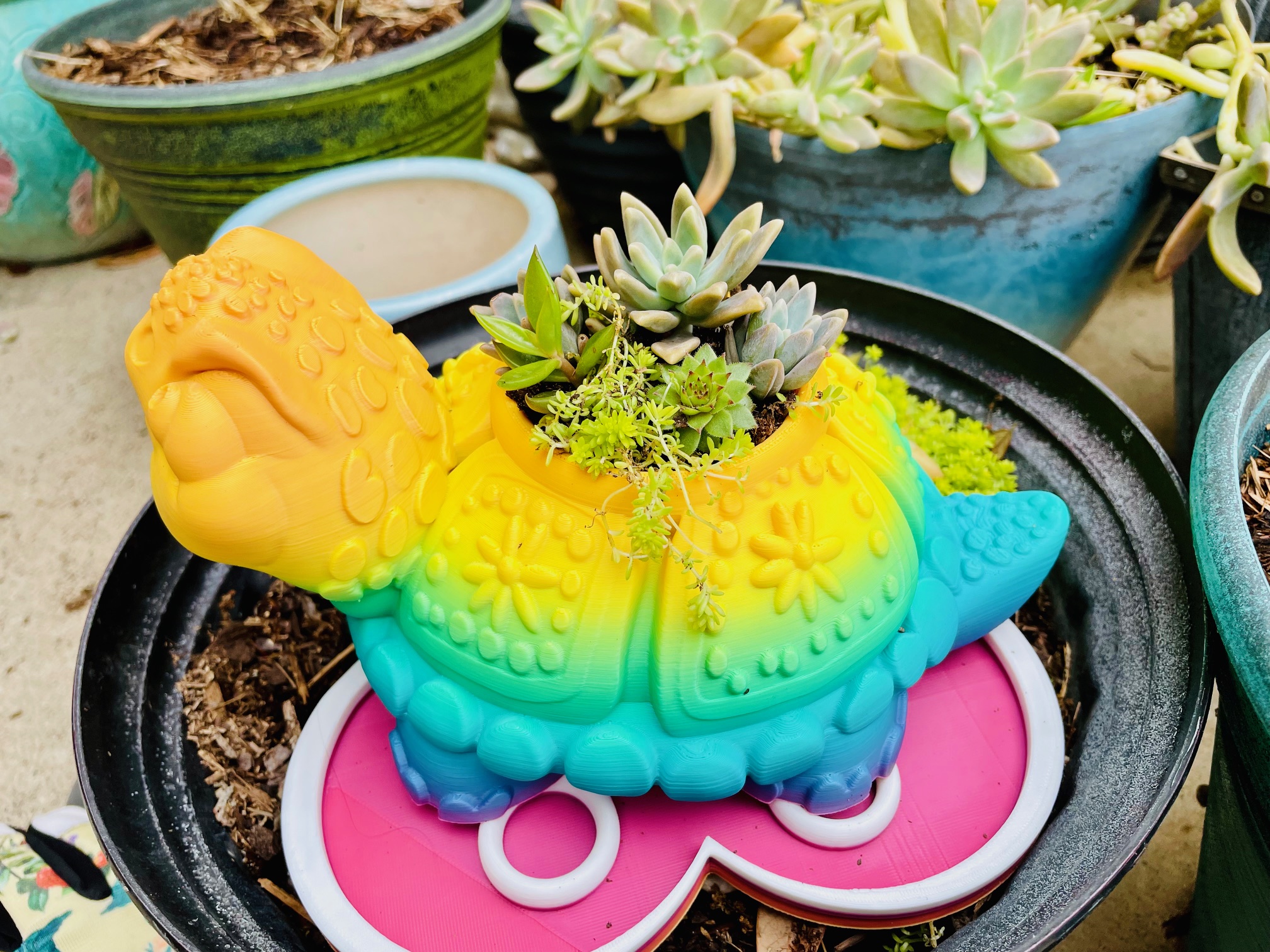 Miniatura 3 do modelo 3D Turtle Planter with Drip Tray