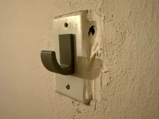 Wall Hook