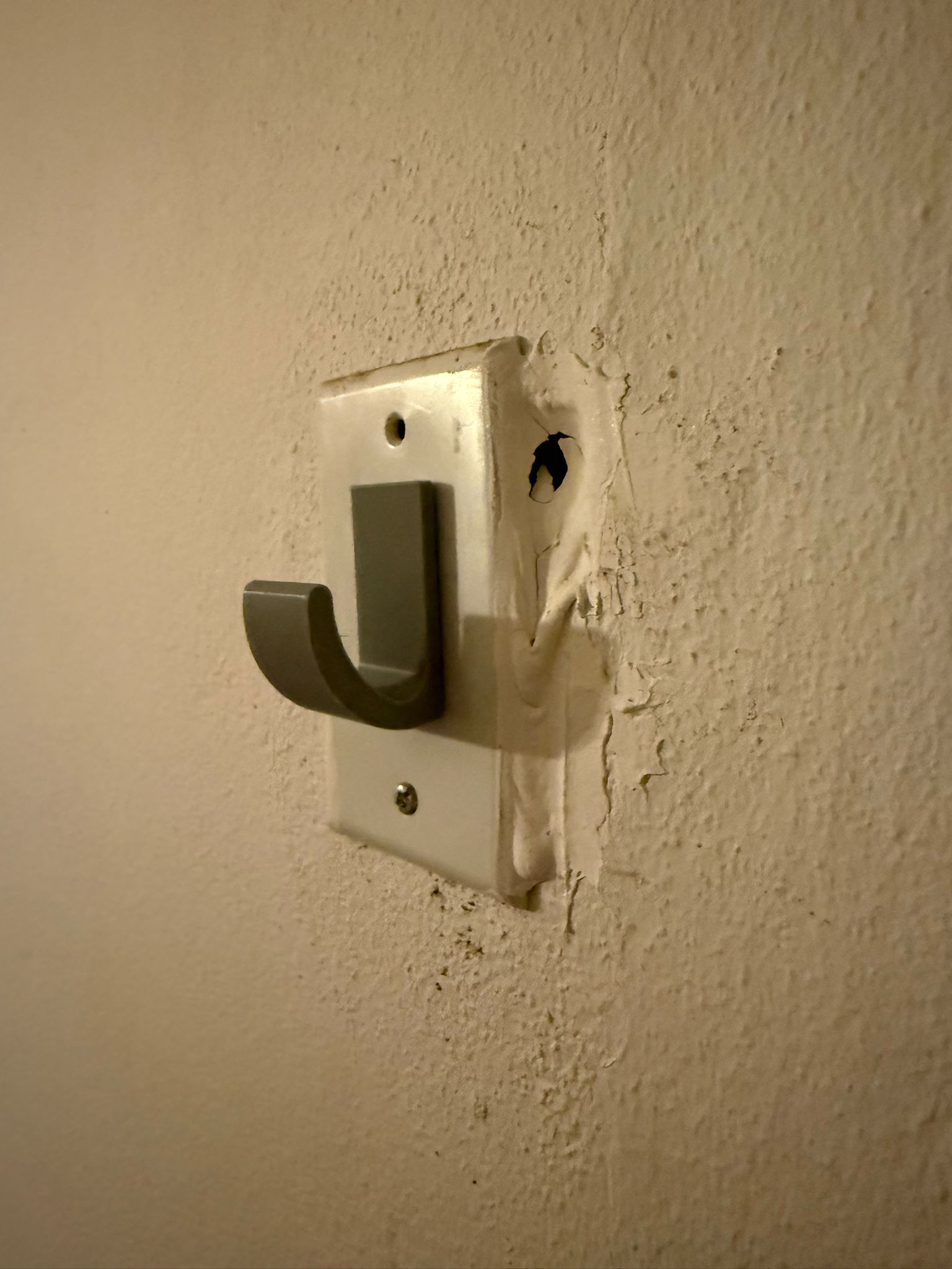 Wall Hook