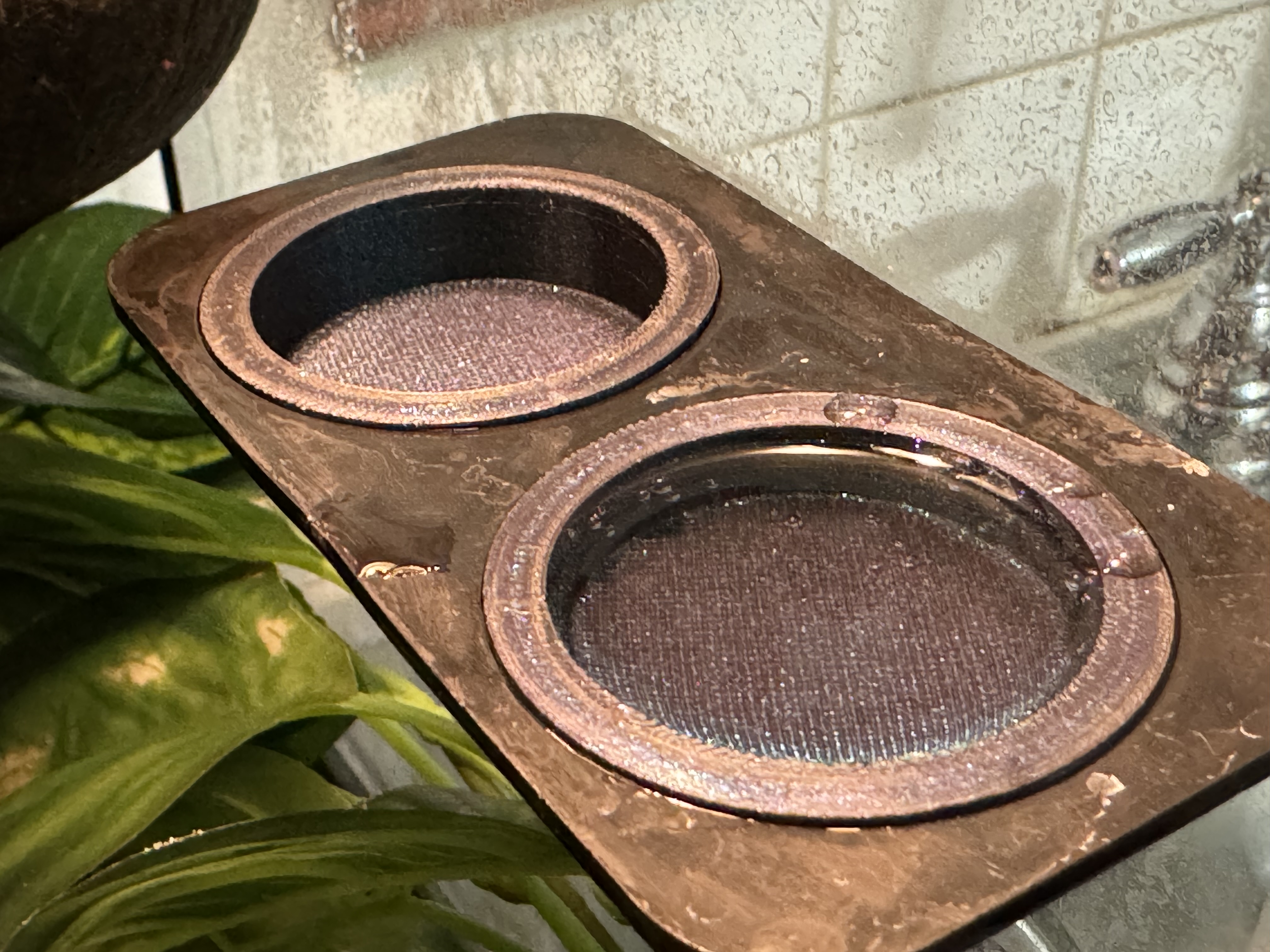 Gecko Bowl